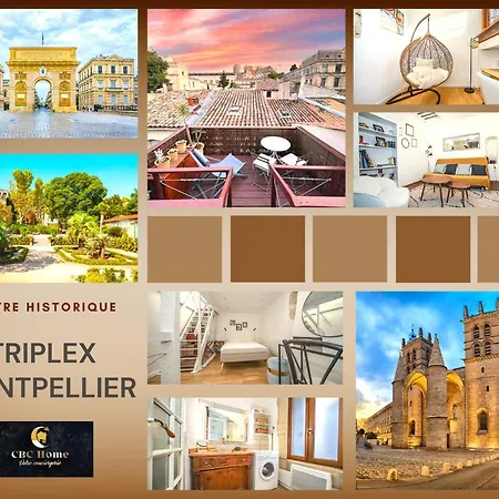 Triplex Terrasse Centre Historique * 몽펠리에